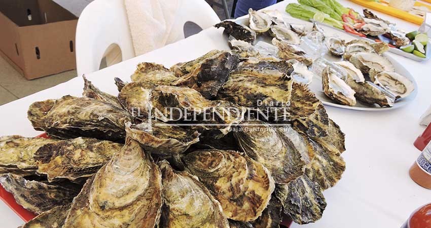 Operativo de Cuaresma ha suspendido 14 puntos de venta en tres municipios de BCS