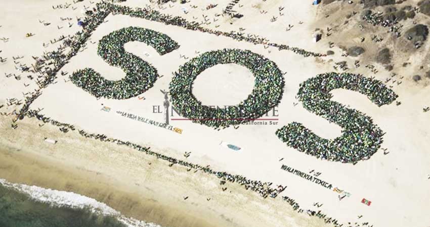 Voto de castigo a políticos que apoyen proyectos mineros: SOS