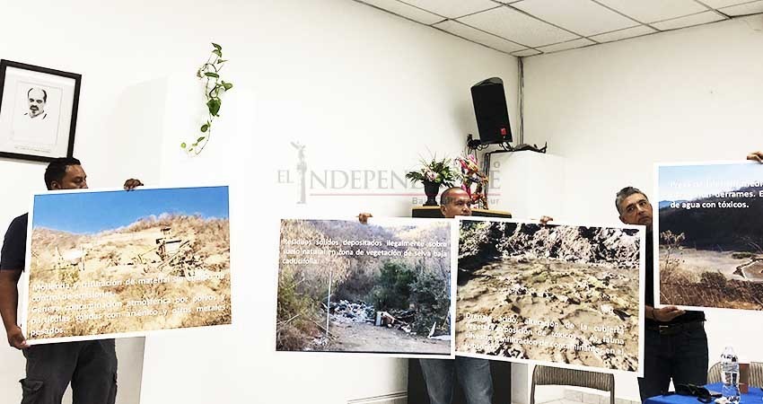 Sociedad civil organizada de Los Cabos se une en contra Ley General de Biodiversidad