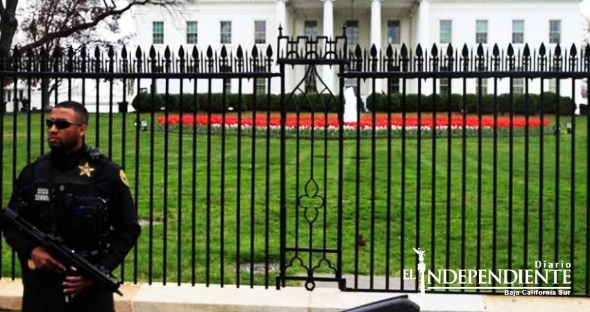 Otra asesora de seguridad nacional le renuncia a Trump