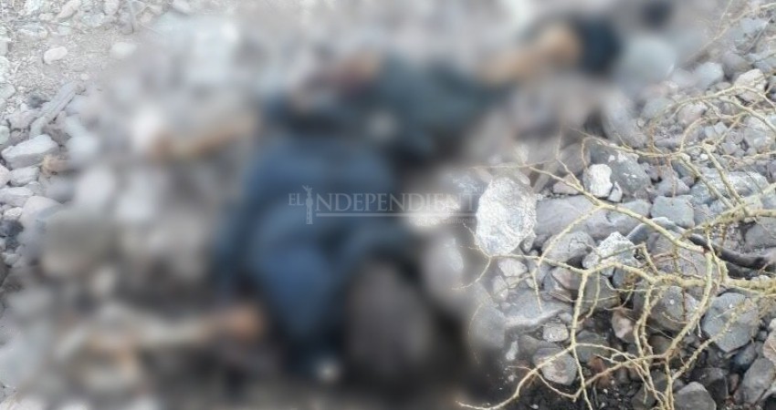 Llevaban más de 10 días buscándolo; lo encontraron muerto