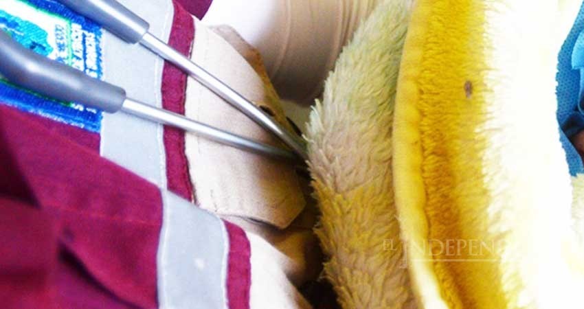 Muere bebé en hospital de Coahuila; investigan a los padres