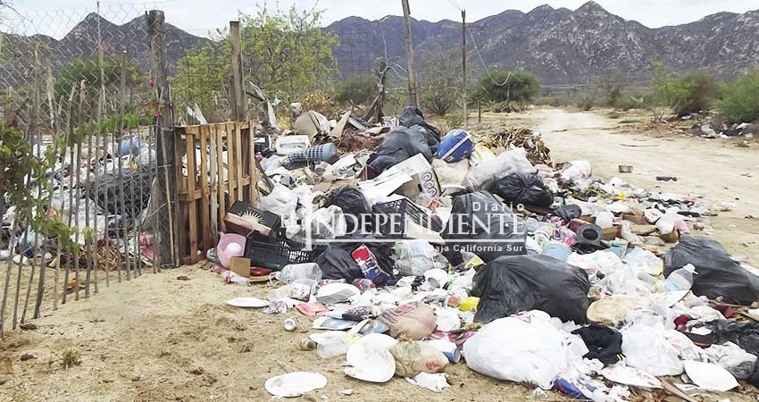 Persiste problemática de arrojar basura en los cauces de arroyos, reporta Servicios Públicos
