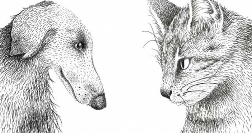 Huellas de papel; la literatura produce perros y gatos memorables