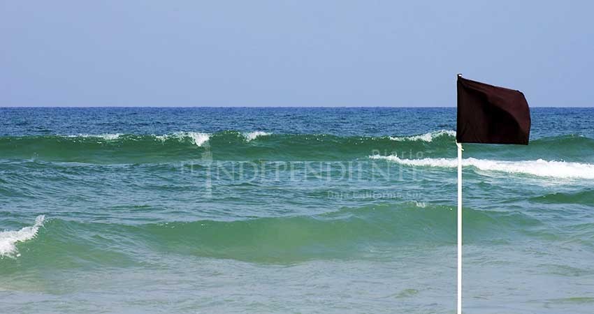 Exhorta Zofemat Los Cabos a obedecer las banderas e instrucciones en  playas