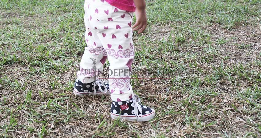 Fundamental denunciar casos de explotación infantil para erradicarla: Gabriel Larrea