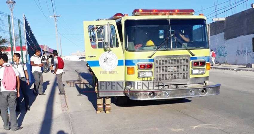 Se registra ataque de abejas en preparatoria Cecyte de Cabo San Lucas