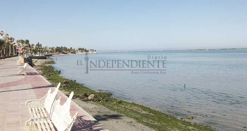 Simuló Ayuntamiento de La Paz consulta sobre PDU: Conciencia México