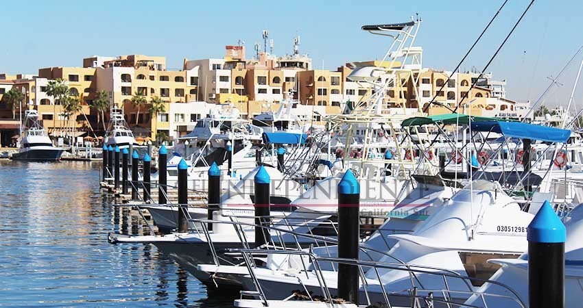 Reforzará API vigilancia de interacción de fauna marina en andadores turísticos