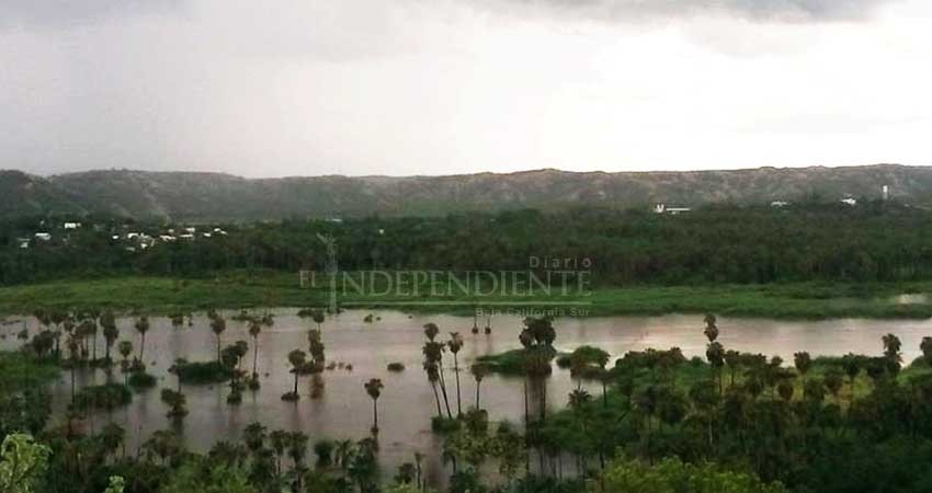 Piden empresarios que candidatos tomen en cuenta problemáticas rutinarias de servicios públicos en zona turística