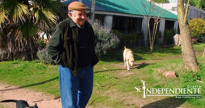 Muere ‘Manuela’, la inseparable mascota del expresidente José Mujica