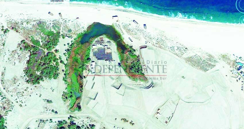 Urge que candidatos presenten su agenda en materia ambiental: Somos A.C