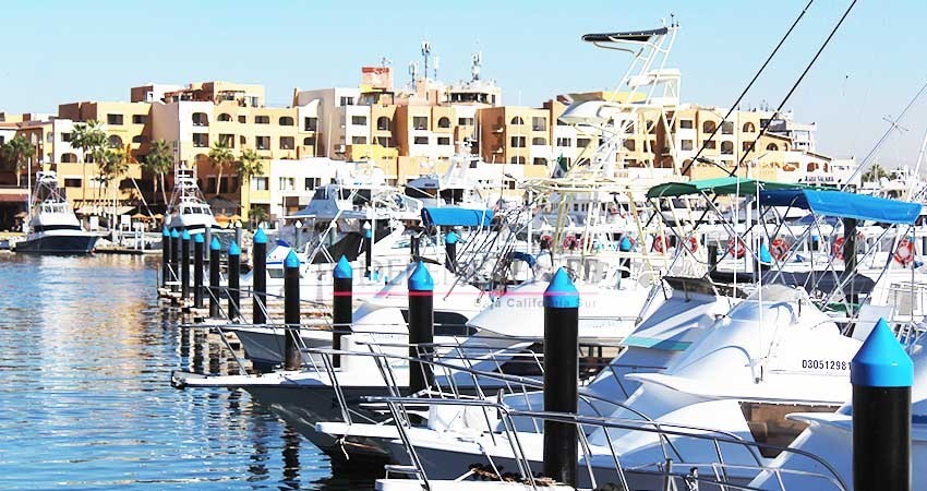 Por iniciar operaciones servicio de transporte eléctrico en marina de CSL