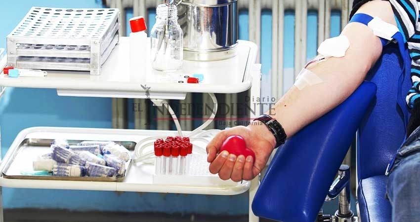 Buscan donadores altruistas; solo uno al mes se presenta en IMSS BCS