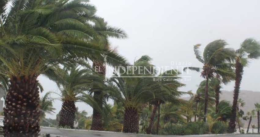 Toca tierra tormenta tropical Bud cerca de Cabo San Lucas