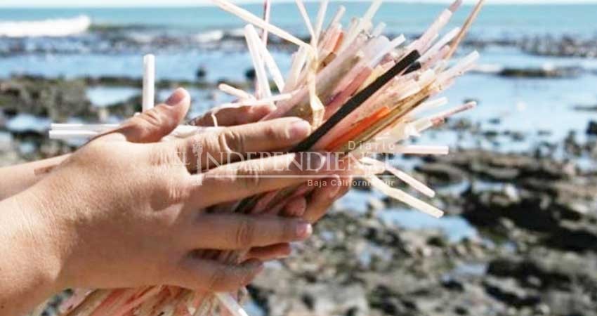 Presentan iniciativa para restringir el uso de bolsas de plástico y popotes en BCS