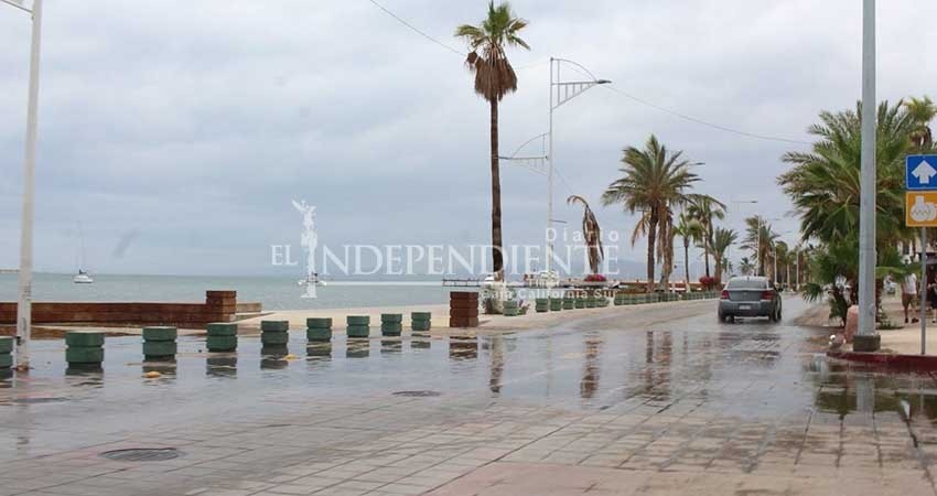 Reportan saldo blanco tras impacto de Bud en BCS