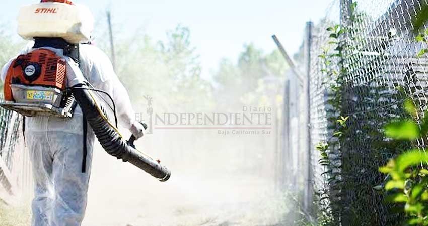 Invertirán 40 mdp en acciones para combatir el Dengue en BCS