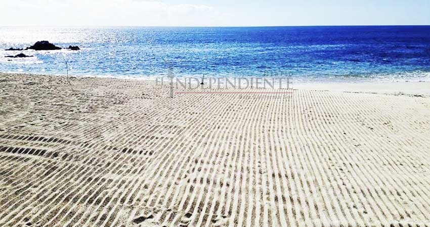 Reporta Zofemat un 90% de avance en limpieza de playas tras TT “Bud”