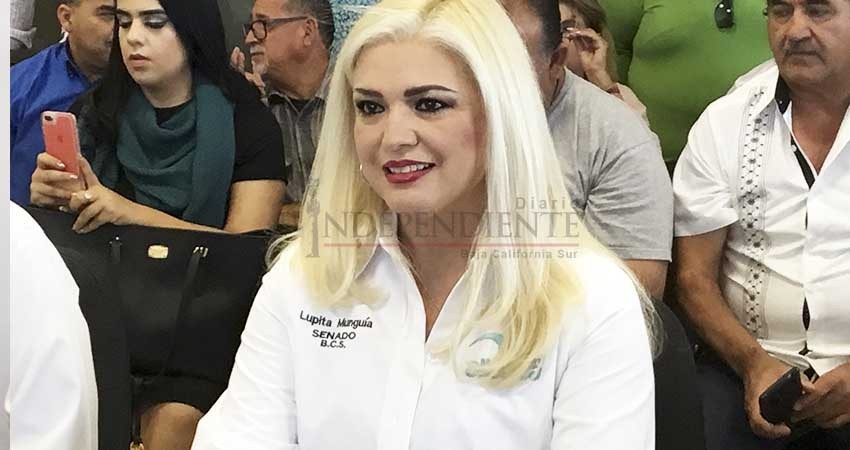 Acusa candidata al senado posible mano negra del gobierno estatal en elecciones