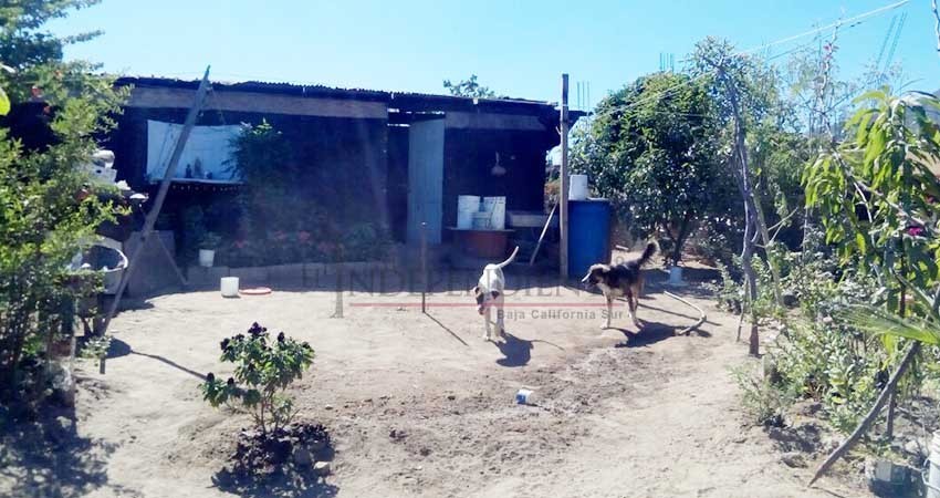 Morena tendrá el reto de solucionar el rezago social de Los Cabos: Ricardo Araoz