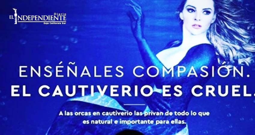 Marjorie de Sousa apoya campaña contra parque marino