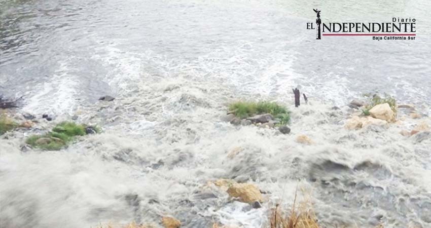 Mujer intentó suicidarse porque su hermana le quitó a 'sus hijos’