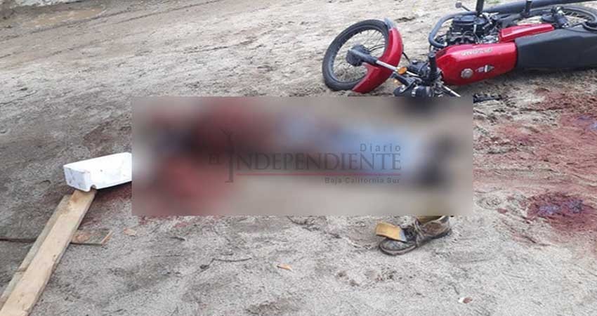 Perro Pitbull ataca y mata a motociclista en Tabasco