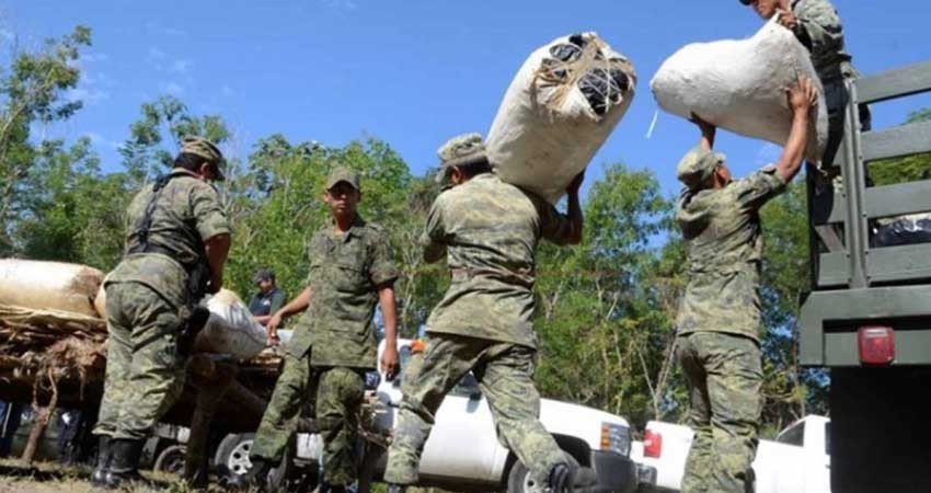 Millonario decomiso en la sierra de Badiraguato