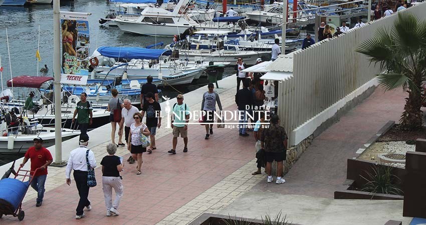 Agosto y septiembre mantendrán un promedio de 5 arribos de cruceros por mes