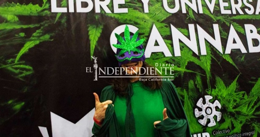 Cofepris y organizaciones pro cannabis revisan reglamento para uso médico