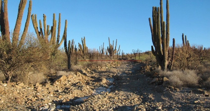 Habrá vigilancia en rutas de senderismo del Cerro Atravesado
