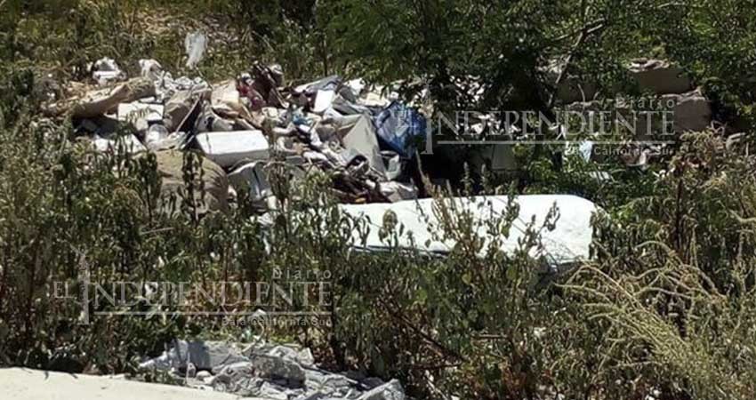 Detectan alrededor de 50 tiraderos clandestinos en Los Cabos