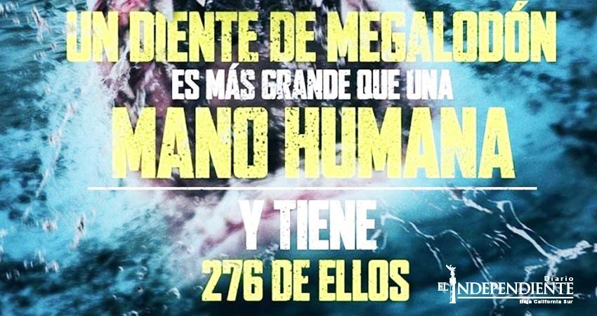 ‘Megalodón’ se mantiene como la película más taquillera en México