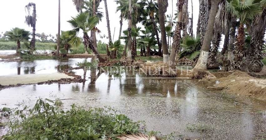 Inundados senderos del Estero de San José