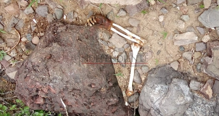 Localizan una osamenta humana en La Paz