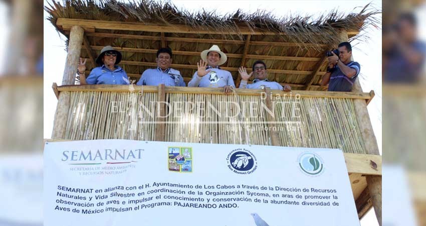 Semarnat corta listón de nueva torre de avistamiento de aves en el Estero de SJC