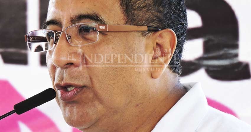 Inició la quinta fase de reproducción del programa Wolbachia