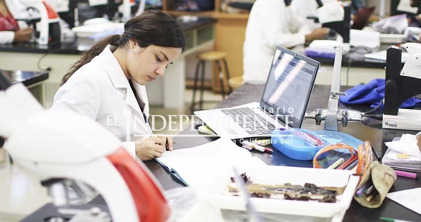 Será UABCS sede del 1er. Congreso Internacional de Educación