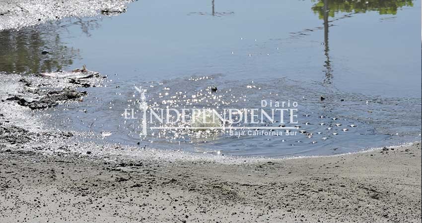 Presencia de aguas negras puede traer infecciones en la piel: IMSS