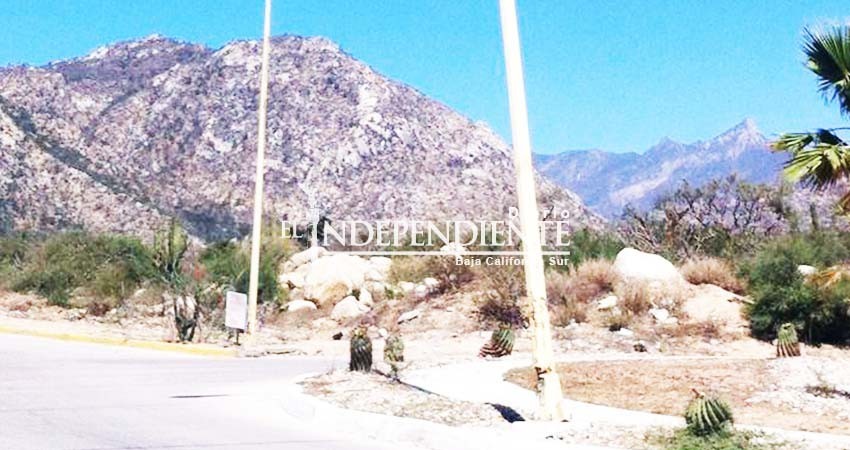 En tres años, se han instalado más de 14 mil luminarias para alumbrado público: Lucero Martínez