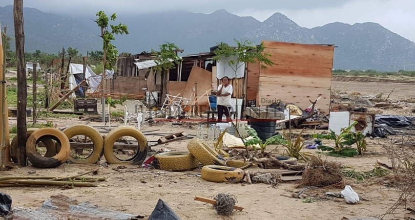 “Odile”, el drama de los que perdieron todo