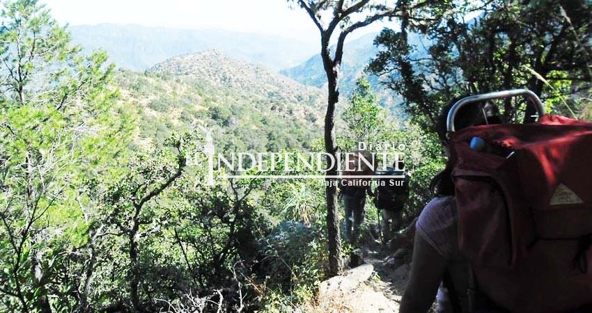 Piden ambientalistas que se establezca mecanismo de aplicación y evaluación de consulta pública sobre minería en BCS