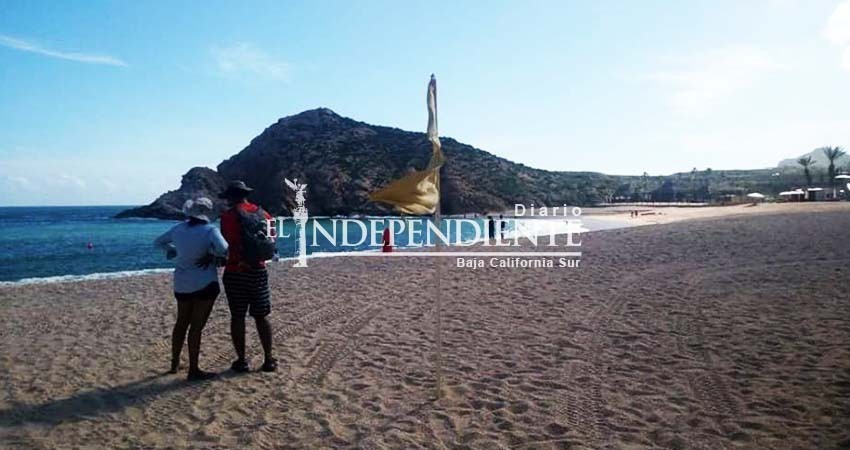 El fin de semana podría levantarse suspensión de actividades en playas de Los Cabos, advierte Zofemat