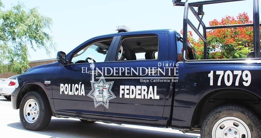 Invita Gendarmería de la Policía Federal a carrera y caminata deportiva en Los Cabos