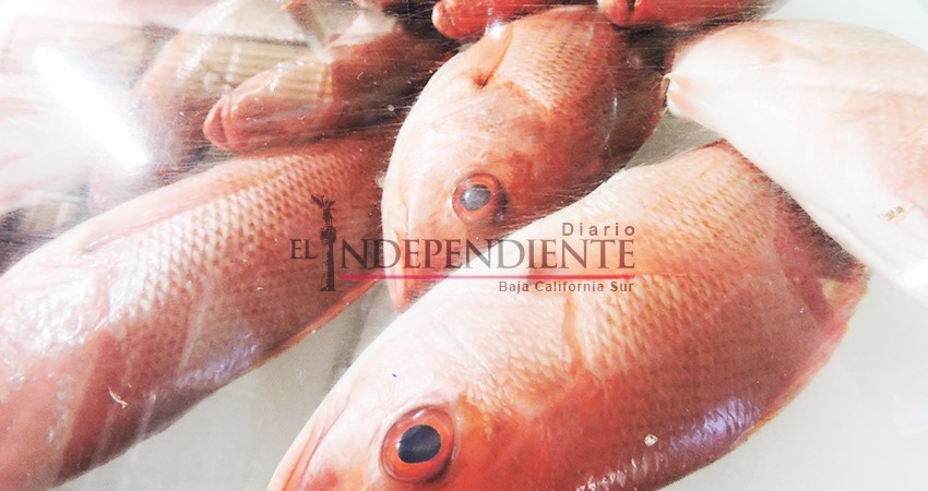 Anuncia Sepada ascenso en la inocuidad pecuaria y acuícola de BCS