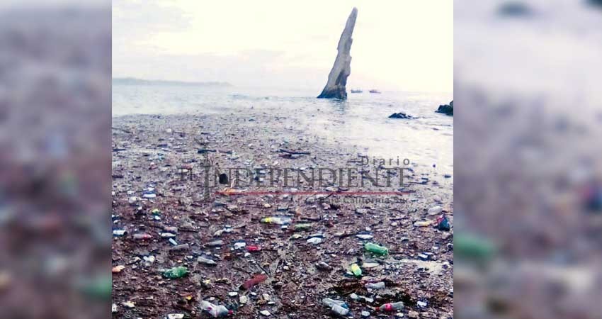 Arrastran lluvias toneladas de basura a la bahía de CSL
