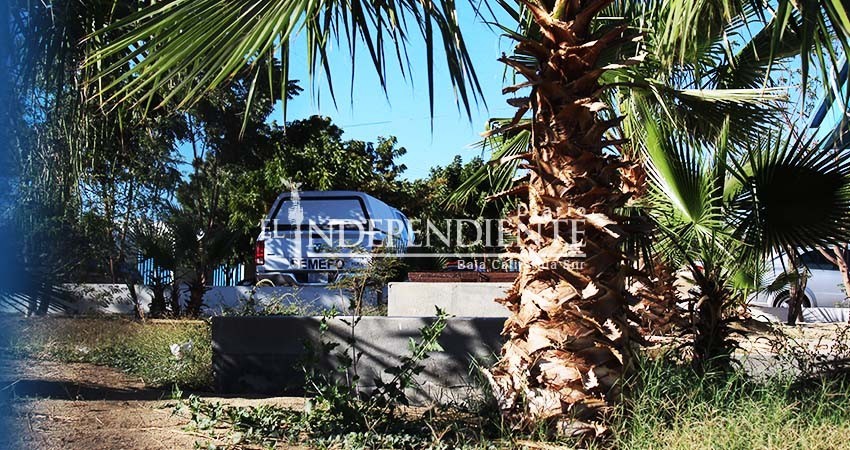 Muere menor de edad ahogado en local de albercas en Cabo San Lucas