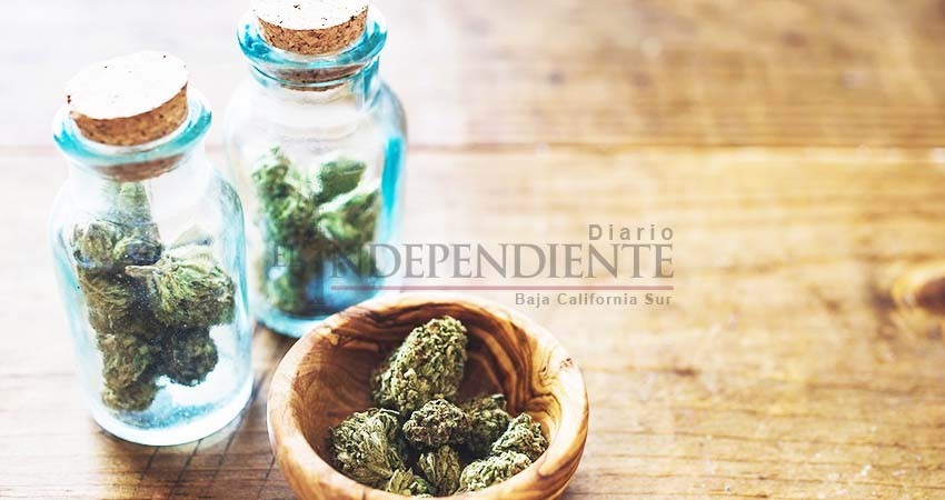 PRD propone legalización de mariguana para fines recreativos