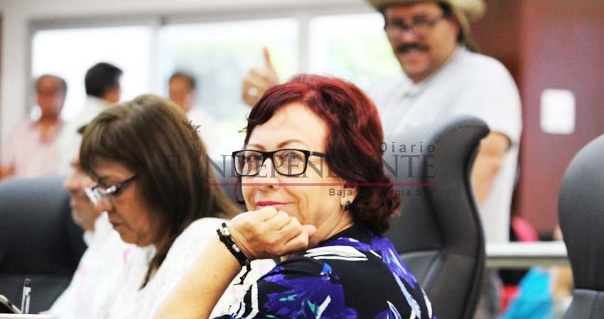Diputada del PT realizará donaciones con recurso de apoyo asistencial